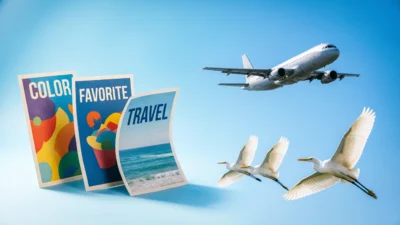 Flyers or Fliers